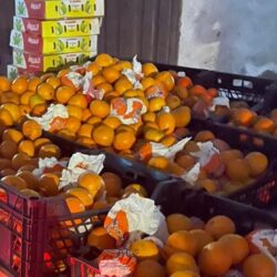 وصول الطائرة الإغاثية الـ16 ضمن الجسر الجوي السعودي لمساعدة ضحايا الزلزال في سوريا وتركيا