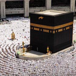 الأردن تدين طرح سلطات الاحتلال الإسرائيلي عطاءات لبناء وحدات استيطانية جديدة في الأراضي الفلسطينية المحتلة