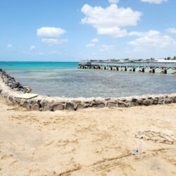 مجلس الشورى يعقد جلسته العادية السادسة والعشرين من أعمال السنة الثالثة للدورة الثامنة