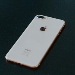 الرياض.. ضبط 5 أطنان من الدواجن منتهية الصلاحية ومجهولة المصدر في مستودع غير مرخص