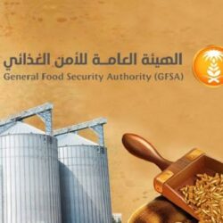 “الموارد البشرية” توضح أسباب اختلاف مبلغ المعاش المستحق من شهر لآخر