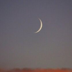 أسامة المرمش بديلًا لـ نواف العقيدي في معسكر المنتخب السعودي