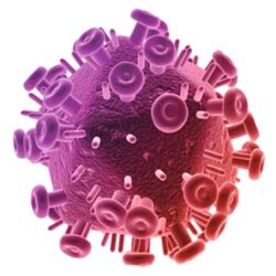 الأرصاد : رياح نشطة وأتربة مثارة على محافظات مكة المكرمة الساحلية