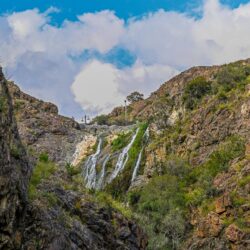 حرس الحدود بعسير يقبض على مخالف لنظام أمن الحدود بحوزته مادة الحشيش المخدِّر