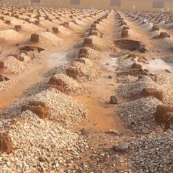 الخارجية المصرية: إجلاء ٢٦٣٩ مواطناً مصرياً من السودان