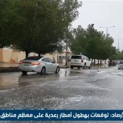 الاتحاد الأوروبي: سنواصل الاتصالات لاحتواء الأزمة الحالية في السودان