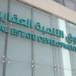 ارتفاع الدولار لأعلى مستوى له في شهر مع زيادة التوقعات برفع أسعار الفائدة