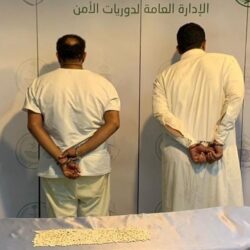 “تقويم التعليم” تعلن حصول مؤسسة تعليمية و54 برنامجاً أكاديمياً على الاعتماد الأكاديمي