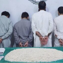 “الصناعة” تعلن موعد بدء المزادات على 12 موقعاً بمجمع كسارات جدة الجديد