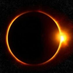 شؤون الحرمين : (1028) موظفًا على أبواب المسجد الحرام لخدمة الزائرين والمعتمرين