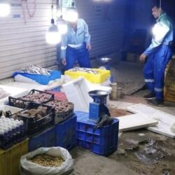 ضبط 4 مخالفين لنظام البيئة لإشعالهم النار في المناطق المحمية