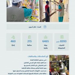 ماسك ينهي علامة التوثيق الزرقاء المجانية في تويتر اليوم