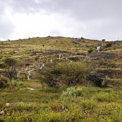 المملكة تشارك في منتدى الشباب التابع للمجلس الاقتصادي والاجتماعي بمدينة نيويورك