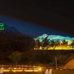 “وقاء” تطلق برنامجاً تدريبياً لتطوير الممارس البيطري