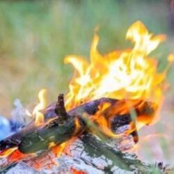 “أمانة جدة” إزالة بسطات عشوائية وإتلاف أغذية فاسدة بنطاق أم السلم