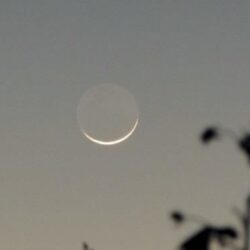 “المعيقلي” في خطبة الجمعة: العيد شعيرة إلهية وسنة نبوية وموسم للبر والصلة