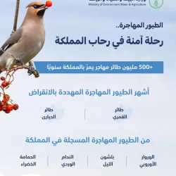 مصادرة ٤ أطنان من البضائع المختلفة من الباعة المخالفين بالدمام