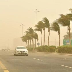 دراسة: أخطاء الذكاء الاصطناعي تهدد صحة الملايين