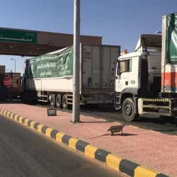 المملكة تحصد الجائزة الذهبية للحكومة الرقمية العربية لعام2023م عن تطبيق مرشدك الزراعي