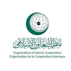 الأمن العام :القبض على شخص لترويجه مواد مخدرة