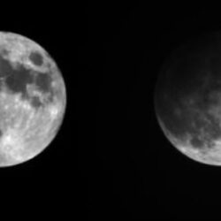 الزكاة والضريبة والجمارك تعتمد القواعد المنظمة لمزاولة مهنة التخليص الجمركي