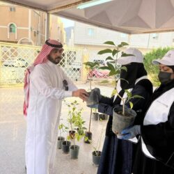 “المرور” يطرح مزاد اللوحات الإلكتروني غدًا