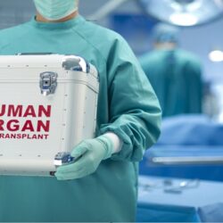 ديوان المظالم يُحدّث خدمة البيانات المفتوحة لرفع مستوى الوعي بأعماله للمهتمين والباحثين