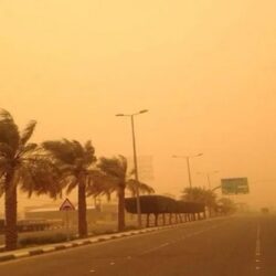 البرلمان العربي يؤكد تضامنه مع تونس في الحادث الغادر بجزيرة جربة