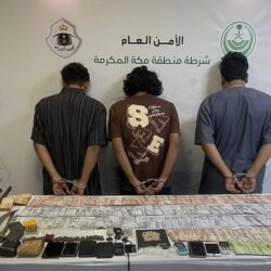 إحباط محاولتي تهريب أكثر من 293 ألف حبة كبتاجون وقرابة 77 كيلو من الحشيش