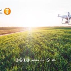 مكافحة المخدرات تقبض على شخص بمنطقة الحدود الشمالية لترويجه عبر مواقع التواصل الاجتماعي مادة الإمفيتامين المخدر