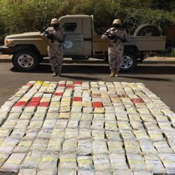 وزير الصحة يكرم لجنة تنفيذ “خطة التطوع” في القطاع الصحي