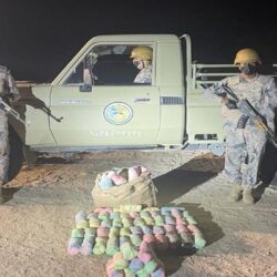 نائب أمير مكة يرأس اجتماع لجنة الحج المركزية .. ويستعرض الاستعدادات لموسم حج 1444 هـ