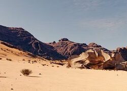 المملكة تحصد الجائزة الذهبية للحكومة الرقمية العربية لعام2023م عن تطبيق مرشدك الزراعي