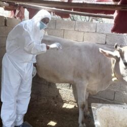 “الغذاء والدواء”: مادة “برومات البوتاسيوم” المسرطنة محظورة بالمملكة