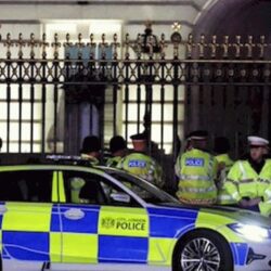 إطلاق 19 من غزال الريم بمحمية الملك سلمان بن عبدالعزيز الملكية