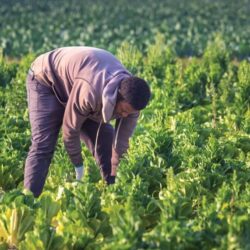 “الغذاء والدواء” توضح خطوات سلامة الأغذية والأدوية خلال موسم الحج