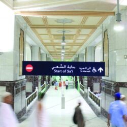 الأمن الغذائي: صرف (126) مليون ريال مستحقات الدفعة السادسة لمزارعي القمح المحلي