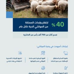 الجبير يبحث مع الأمين البرلماني لوزير خارجية كندا مستجدات الأوضاع