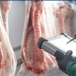 وزير الداخلية يتفقد عددًا من المشاريع التطويرية في المشاعر المقدسة