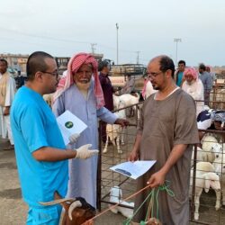 “الحج والعمرة” توجه عدد من النصائح للحجاج .. وتحذر من الأطعمة المكشوفة