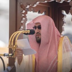 ارتفاع صادرات التمور بنحو نصف مليار ريال بالربع الأول