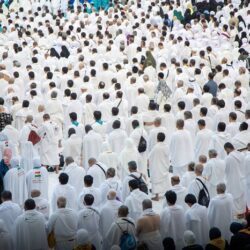 أمانة العاصمة المقدسة تتيح خدمة ذبح الأضاحي عبر تطبيق “بلدي”