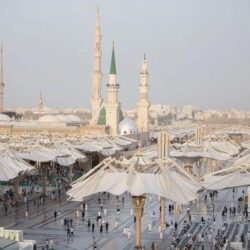 حظر مؤقت على استيراد البيض ولحوم الدواجن من فرنسا