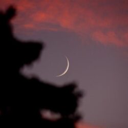 مغادرة الطائرة الإغاثية السابعة عشر ضمن الجسر الجوي السعودي لمساعدة ضحايا الزلزال في سوريا وتركيا