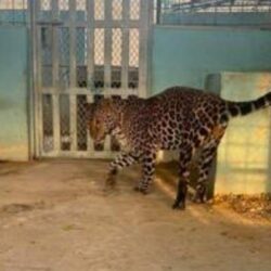 الدفاع المدني يدعو إلى أخذ الحيطة والحذر من استمرار هطول أمطار رعدية على معظم مناطق المملكة