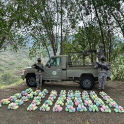 اتحاد البولو يكشف تفاصيل بطولة السيدات