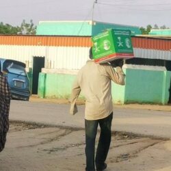 “عقارات الدولة” تؤكد جاهزيتها لخدمة المنظومة الحكومية المشاركة في تنظيم موسم الحج