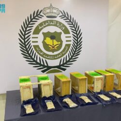 وزير الداخلية يتفقد عددًا من المشاريع التطويرية في المشاعر المقدسة