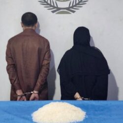 إحباط 3 محاولات لتهريب أكثر من 650 ألف حبة كبتاجون وحبوب خاضعة للرقابة الطبية