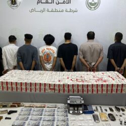 أمام وزير الخارجية.. مجموعة من أعضاء السلك الدبلوماسي يؤدون القسم